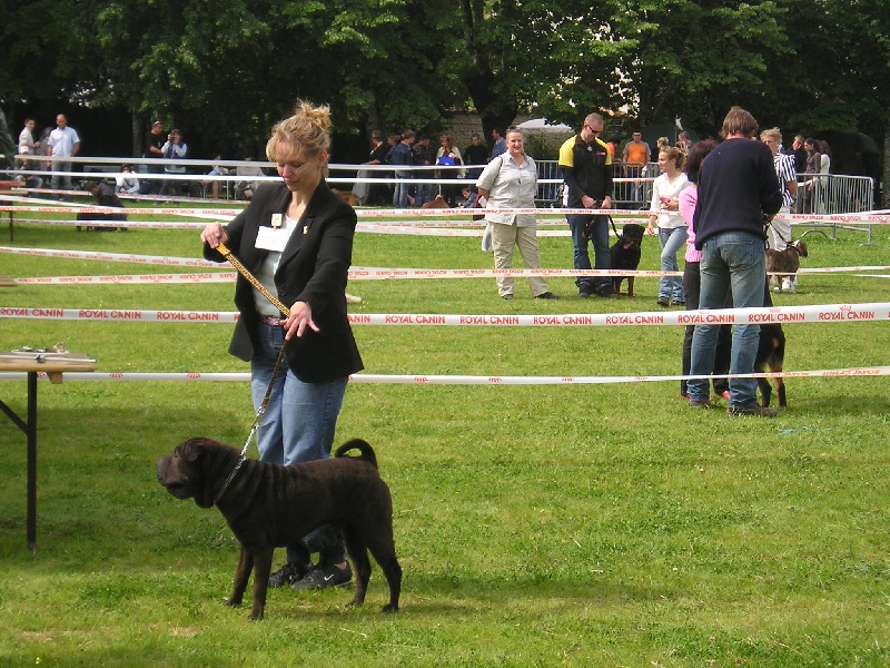 Publication : du Royaume de Jade Auteur : nadine mazzotti