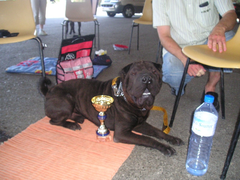 Publication : du Royaume de Jade Auteur : nadine mazzotti