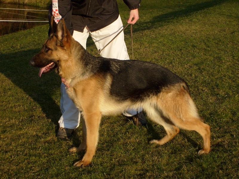 Publication : du domaine des Anges gardiens