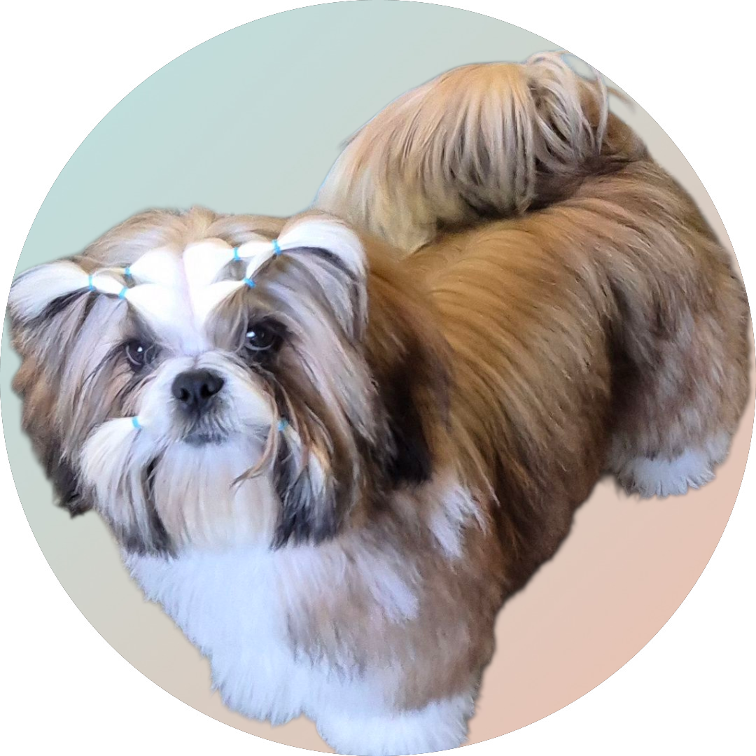 Publication : des Pommiers du Pays d'Othe