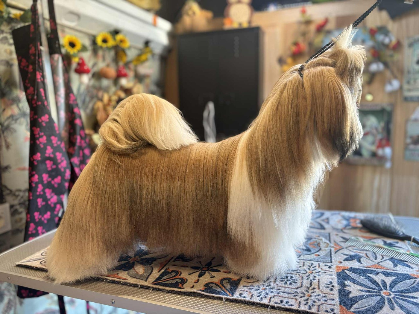 Publication : des Pommiers du Pays d'Othe