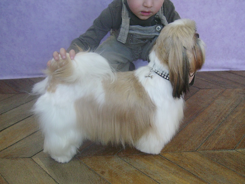 Auteur : mme milleret