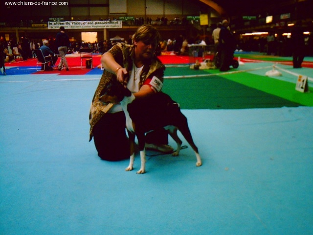 Bushman Of swala pala - 2ème excellent