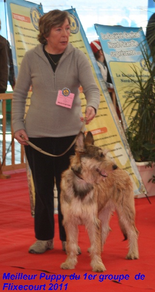 CH. Fritton De stephieci - meilleur puppy du 1er groupe