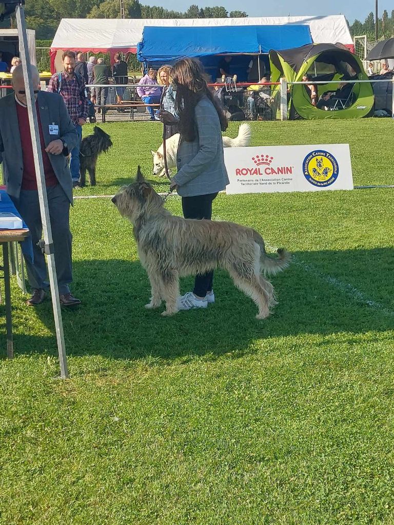 Utah De stephieci - 1er très bon