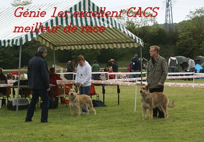 CH. Genie De stephieci - 1er excellent CACS meilleur de race