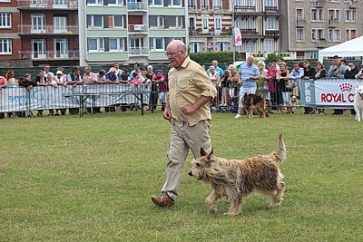 CH. Fritton De stephieci - 3ème meilleur chien du 1er groupe
