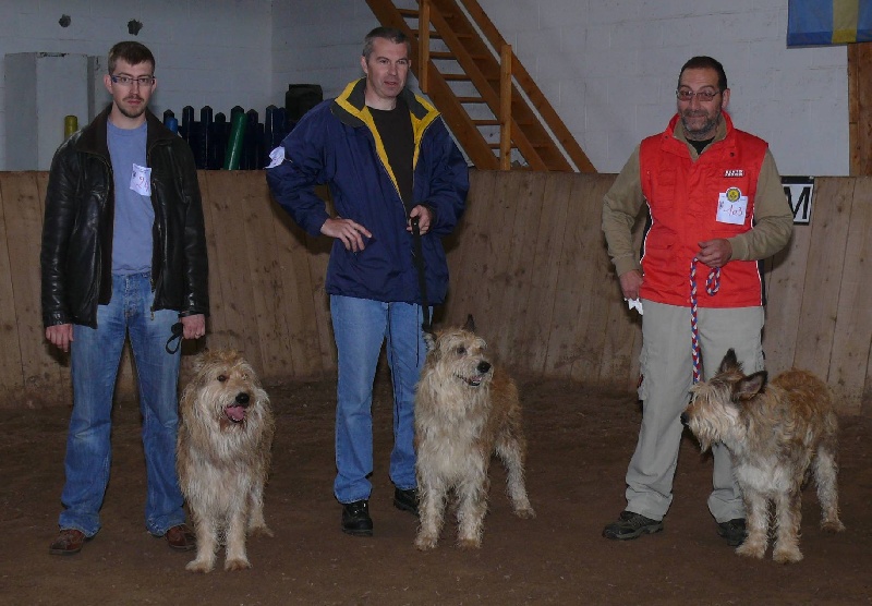 Ubu dit upper De stephieci - 7ème meilleur lot d'élevage