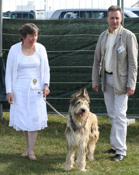 CH. Fritton De stephieci - 1er excellent meilleur jeune meiilleur de race
