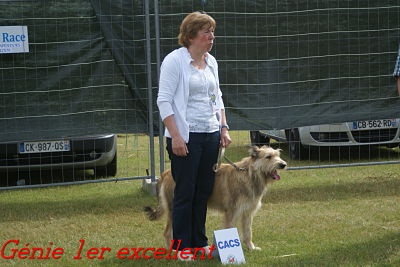 CH. Genie De stephieci - 1er excellent CACS