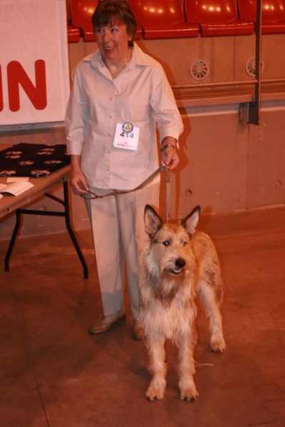 CH. Genie De stephieci - 1er exc CACS CACIB meilleur de race