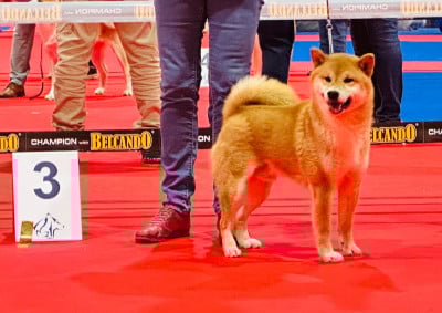 des portes de la moria