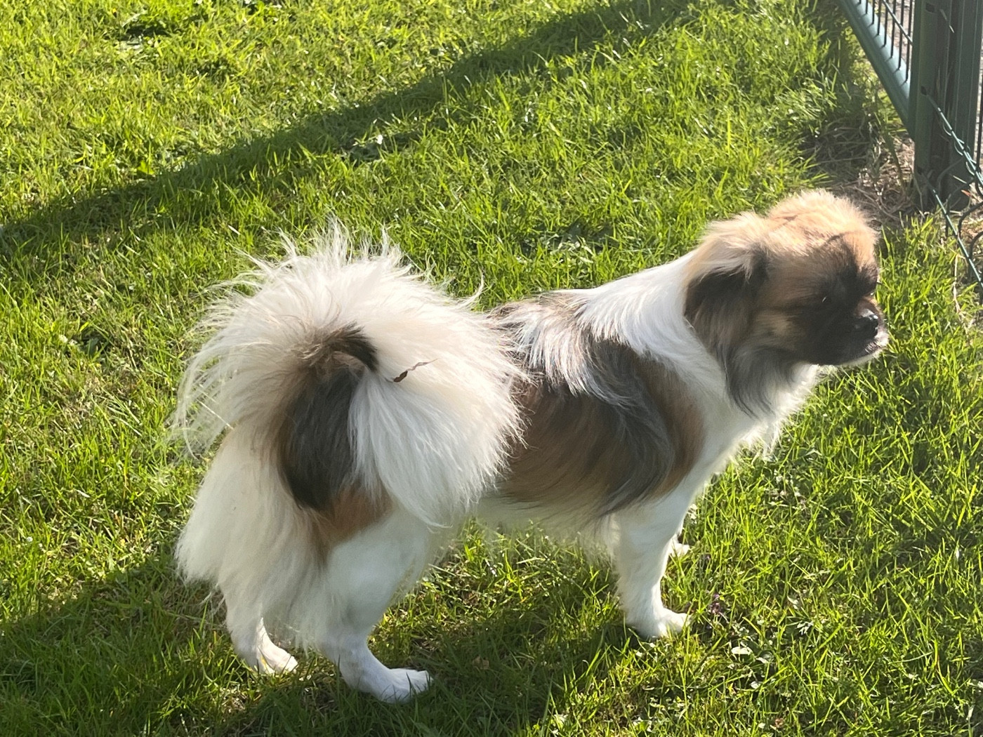 Wangdak orane du Fond Touyen