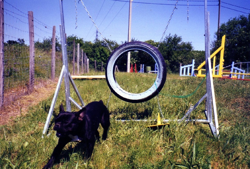 Liberia de la tour Cedriere