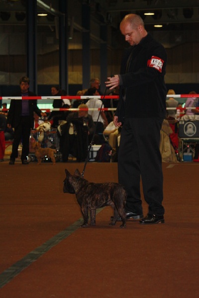 cheek-bull Orko - Prometteur