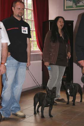 Veloutine Du bois de saint-cyr - 3è Excellent classe ouverte