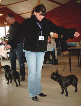 Veloutine Du bois de saint-cyr - 1 excellent + TAN