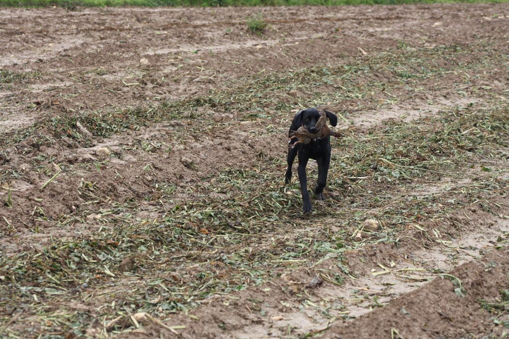 Publication : des Plaines de la Chapelle