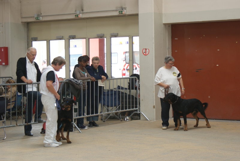 Bacchus de la fontaine au cresson - 3ème EXC