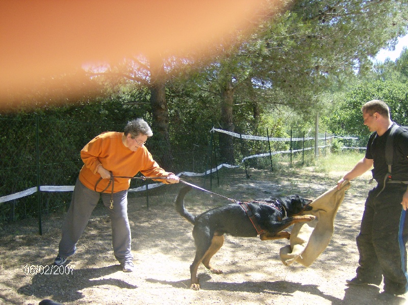 Bacchus de la fontaine au cresson - 1er CACS