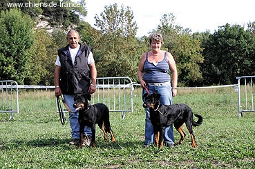 Bacchus de la fontaine au cresson - 2eme