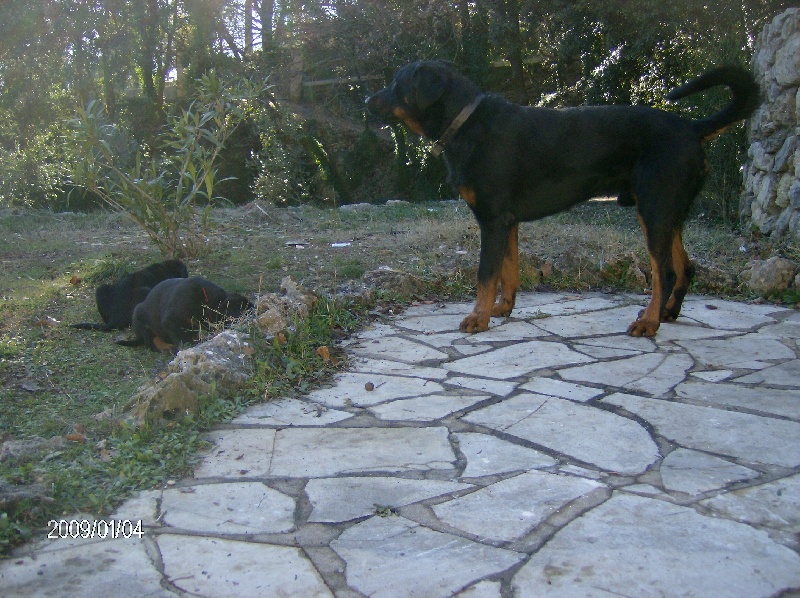 Bacchus de la fontaine au cresson - 5ème EX