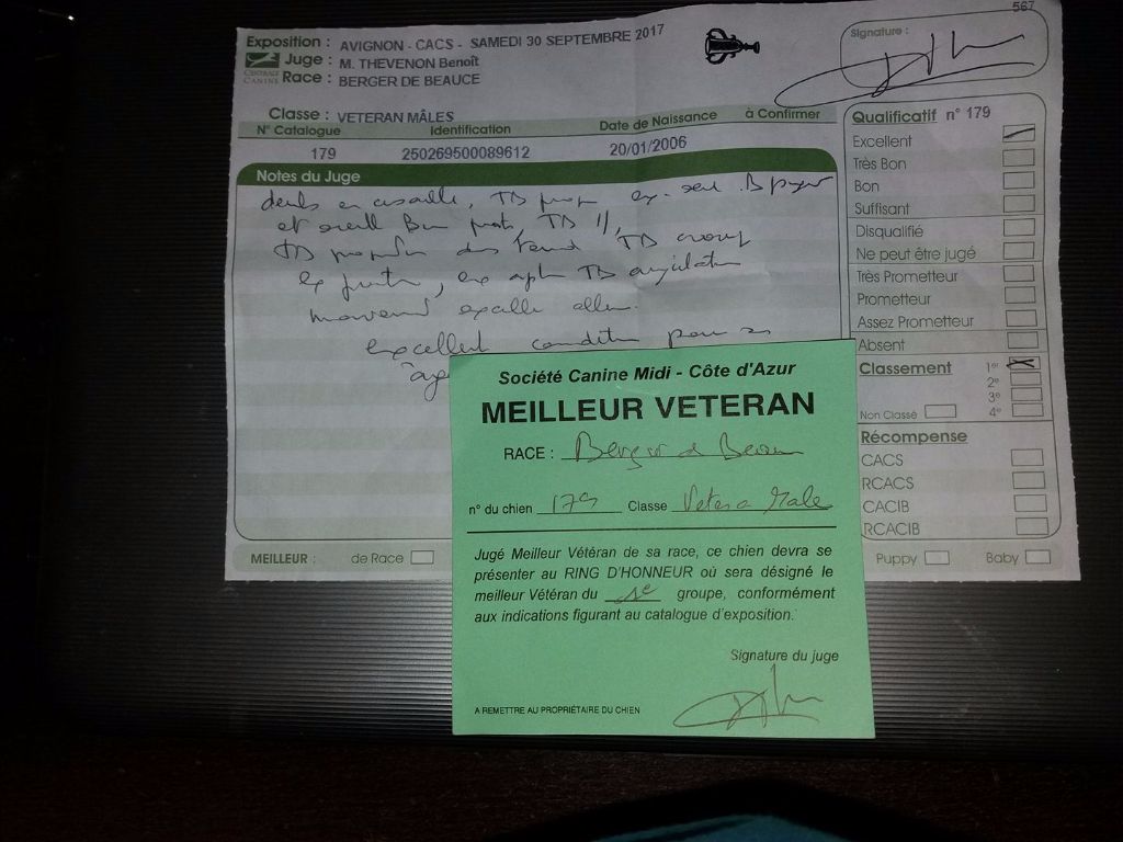 Bacchus de la fontaine au cresson - 1er meilleur vétéran