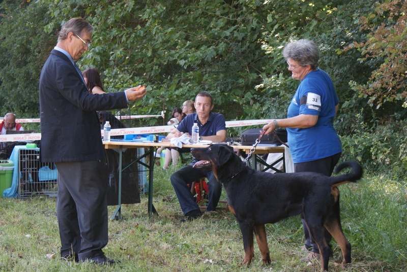Bacchus de la fontaine au cresson - 2ème EXC classe ouverte mâle