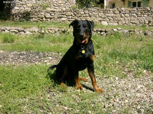 Bacchus de la fontaine au cresson - Trés bon