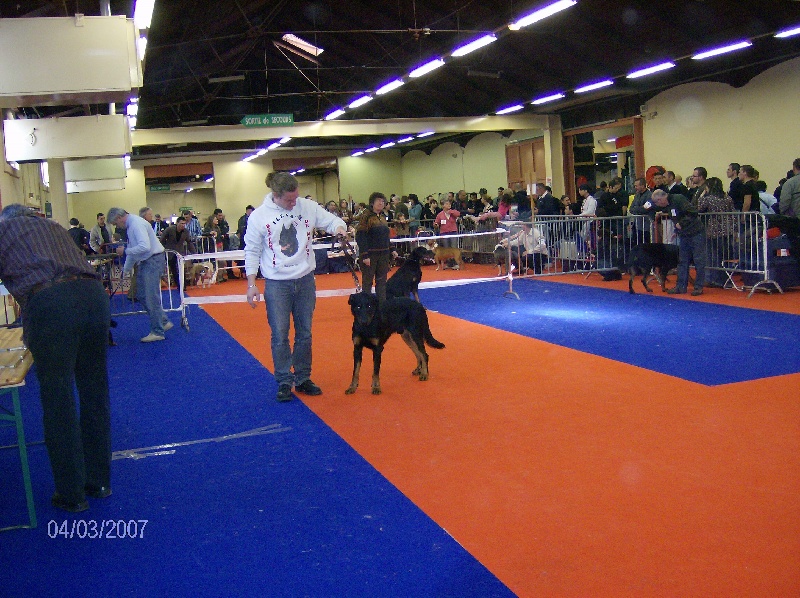 Bacchus de la fontaine au cresson - 4 ème excellent