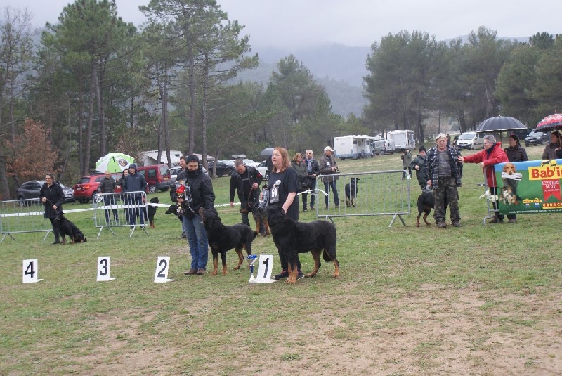 Bacchus de la fontaine au cresson - 2 ème