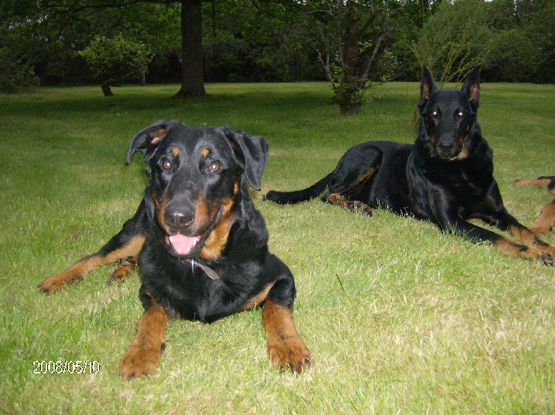 Bacchus de la fontaine au cresson - cot 2