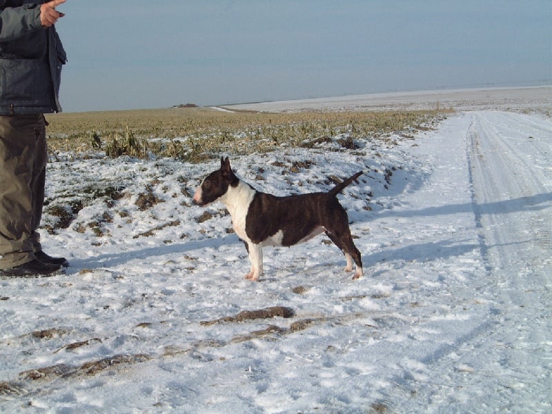 Publication : Du mas des rêves