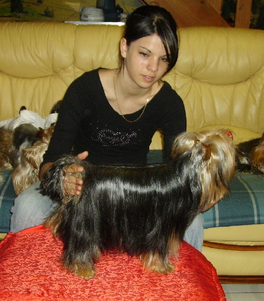 Publication : Des alexanies