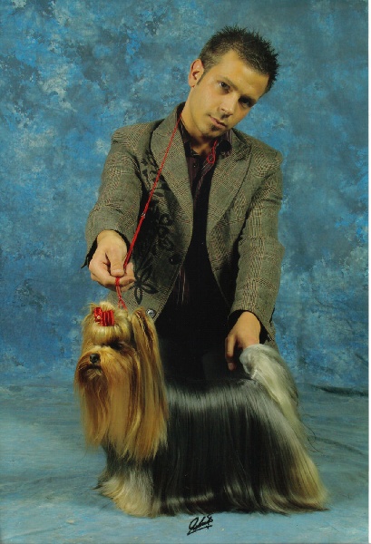 Publication : Des alexanies