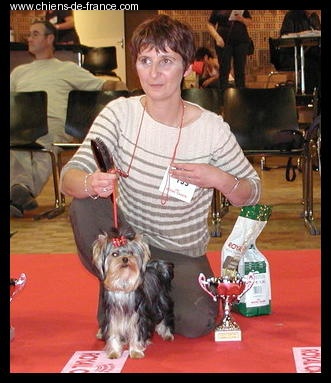 Publication : Des alexanies