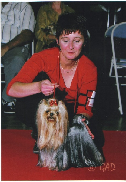 Publication : Des alexanies