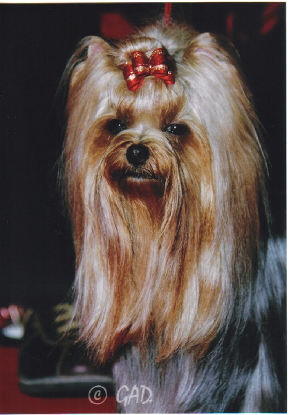 Publication : Des alexanies