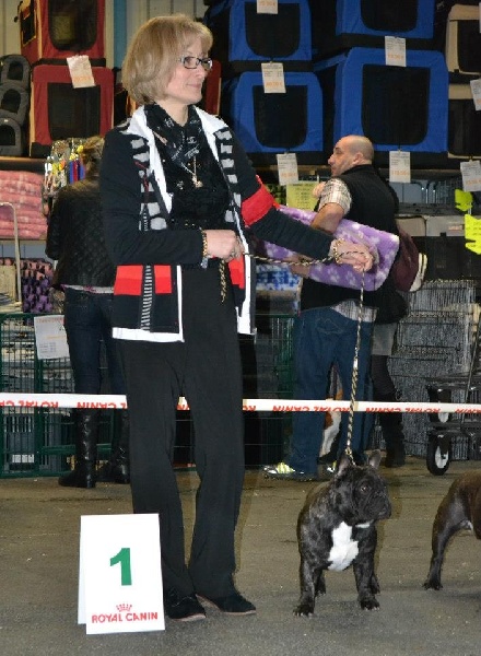 CH. Gaspard duc du du Golden Child - CACS + RCACIB