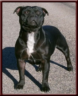 Publication : De la vauxoise