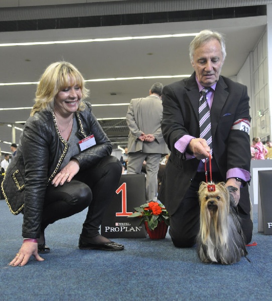 CH. Internationale griotte Du clos de la belle heloise - 1er Excellent V1 VDH CAC