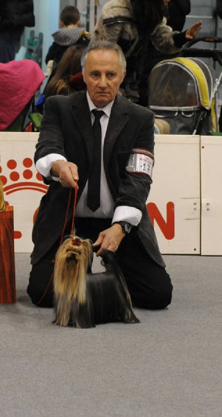 CH. Internationale griotte Du clos de la belle heloise - 1er EXCELLENT - CAC