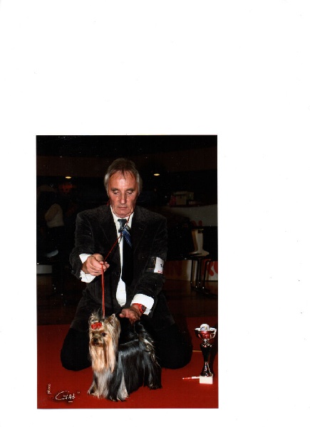 CH. Internationale griotte Du clos de la belle heloise - 1er EXCELLENT CAC/CACIB