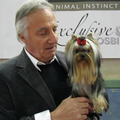 CH. Internationale griotte Du clos de la belle heloise - 1er EXCELLENT - MEILLEUR JEUNE