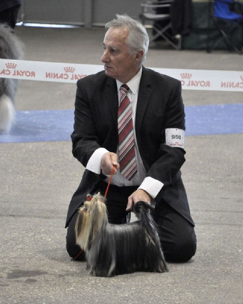 CH. Internationale griotte Du clos de la belle heloise - 2e EXCELLENT