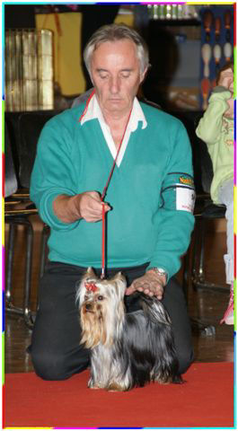 CH. International clayton de la Pam'Pommeraie - Excellent