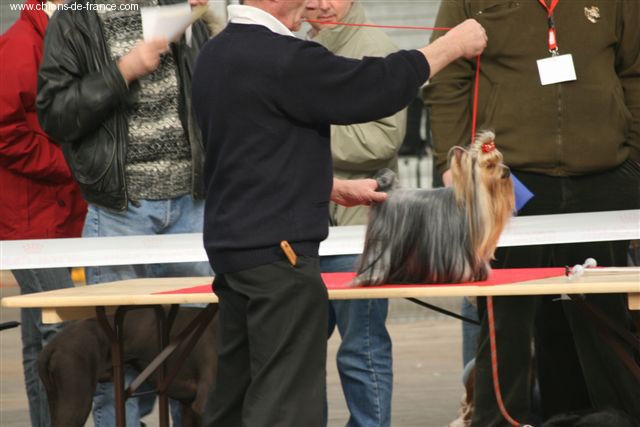 V'gaïa de la Pam'Pommeraie - 2e Excellent - RCACS