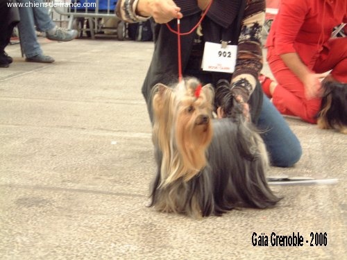 V'gaïa de la Pam'Pommeraie - 3e Excellent