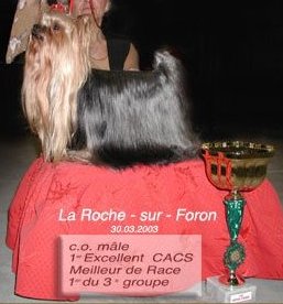 Principal tom (Sans Affixe) -