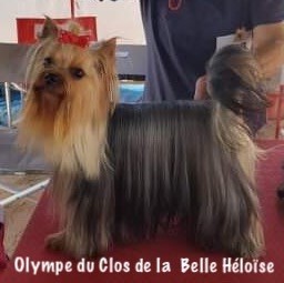 Olympe Du clos de la belle heloise - 2e Excellent